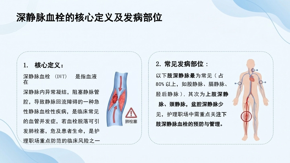 深静脉血栓预防与管理_第3页