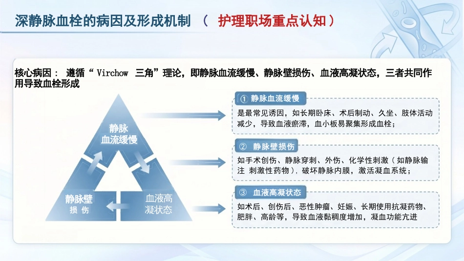 深静脉血栓预防与管理_第4页