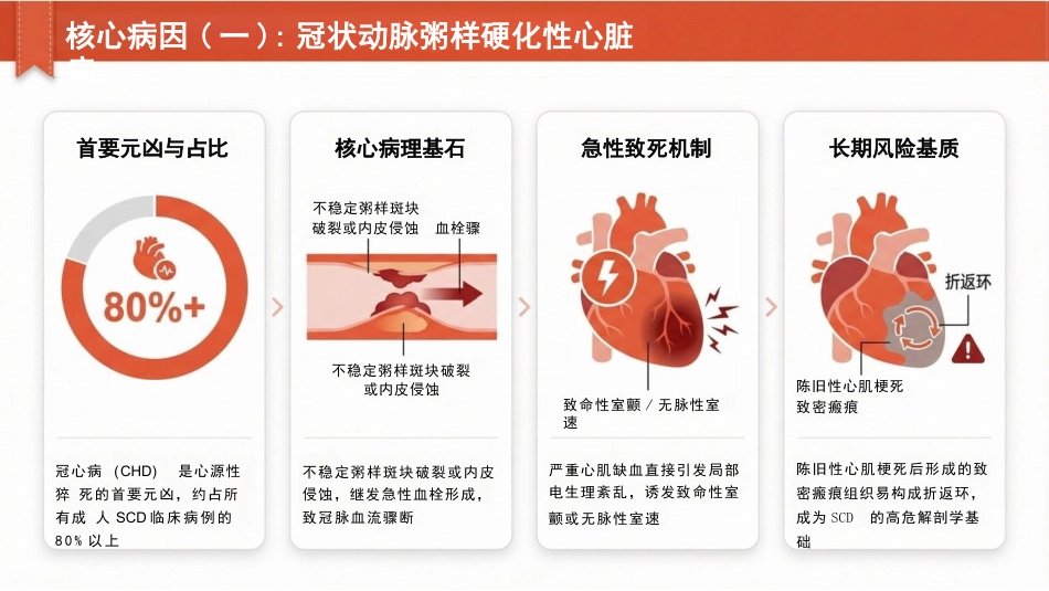 心源性猝死的预防与临床管理专题_第5页