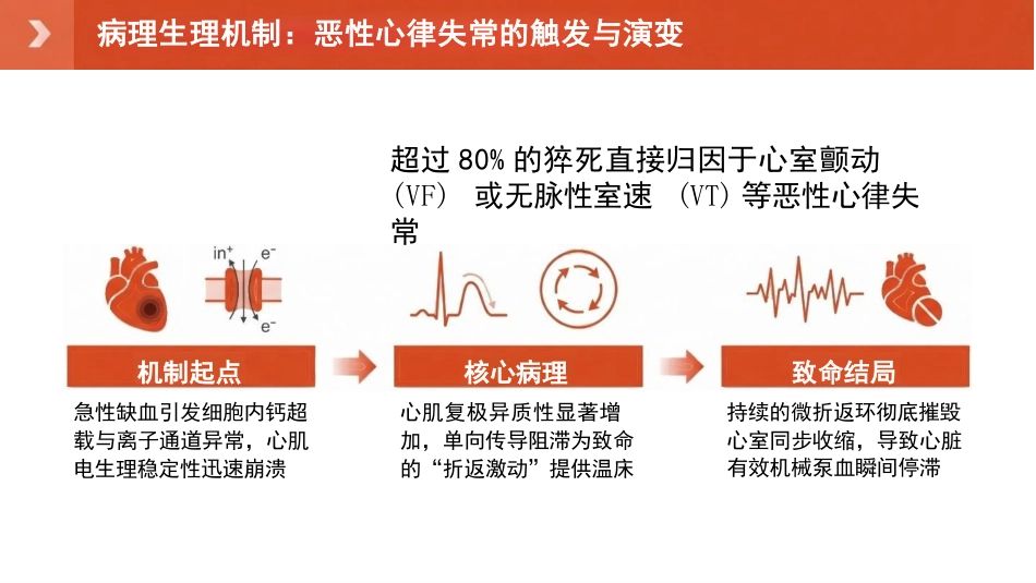 心源性猝死的预防与临床管理专题_第8页