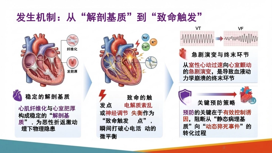 心源性猝死的预防策略与临床管理_第7页
