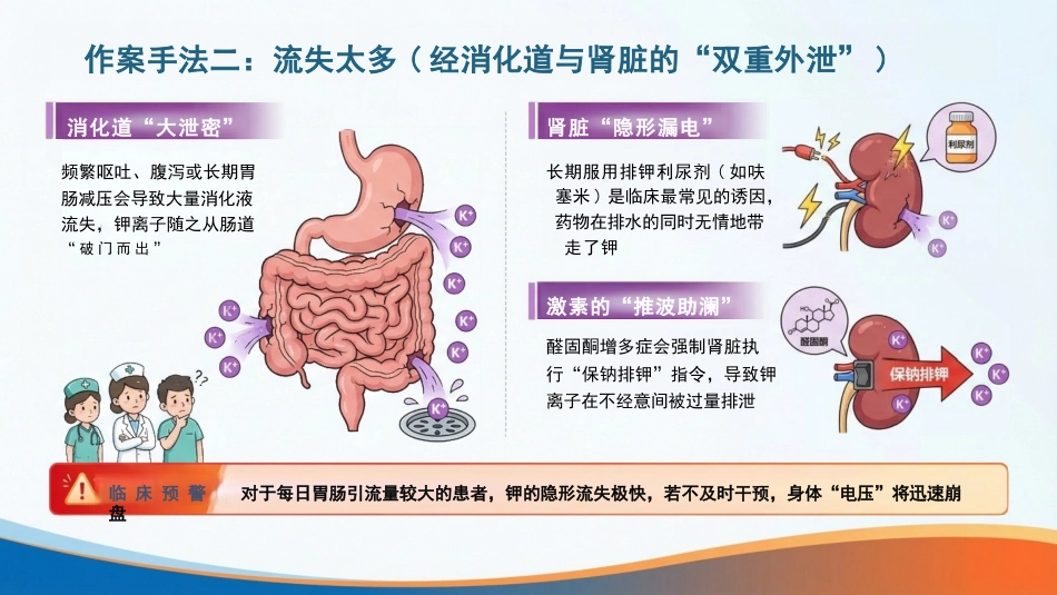 低血钾症护理:身体里的“电力小偷”_第11页