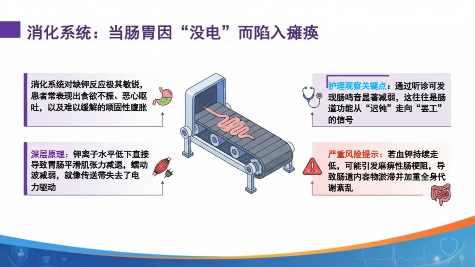 低血钾症护理:身体里的“电力小偷”_第15页