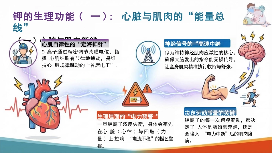 低血钾症护理:身体里的“电力小偷”_第6页