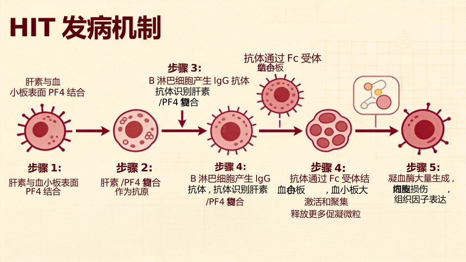 肝素诱导的血小板减少症_第7页