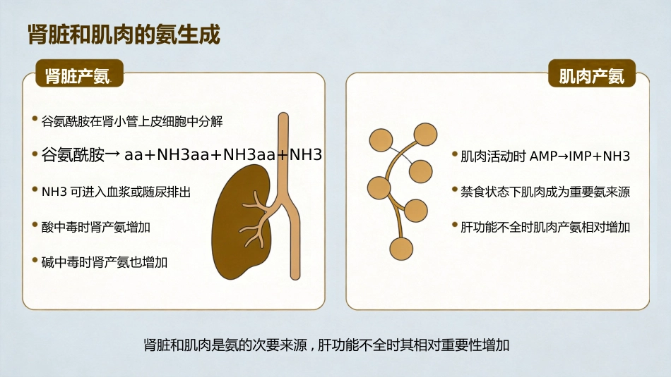 肝功能衰竭_第11页