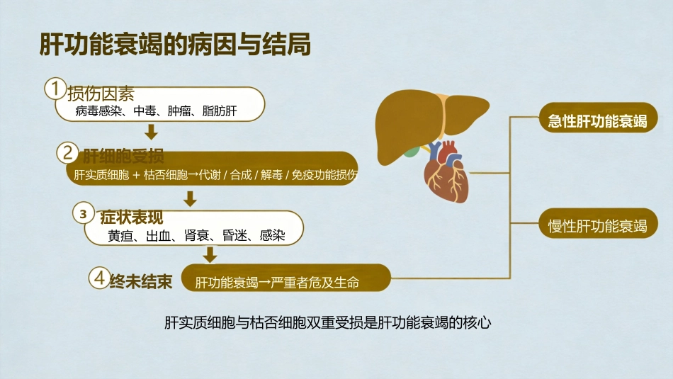 肝功能衰竭_第3页