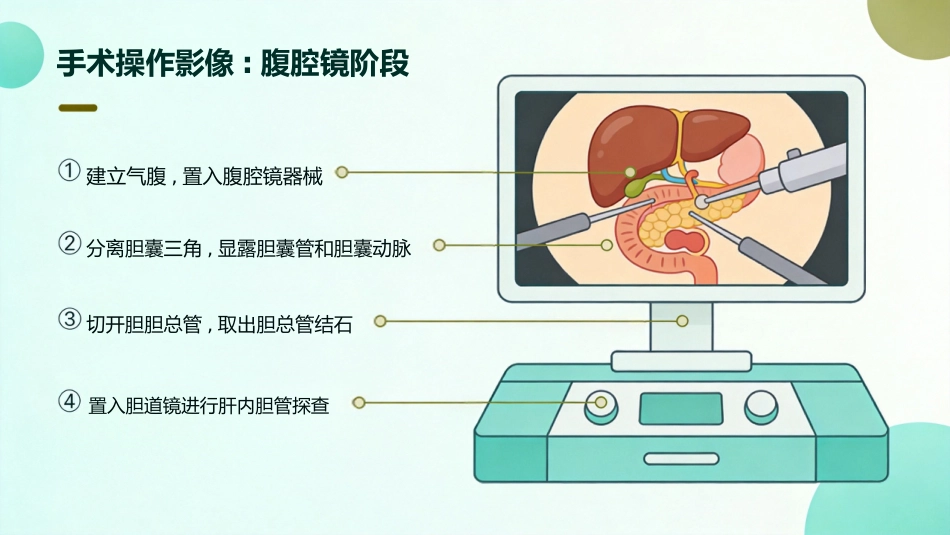 肝胆管结石的三镜联合治疗_第12页