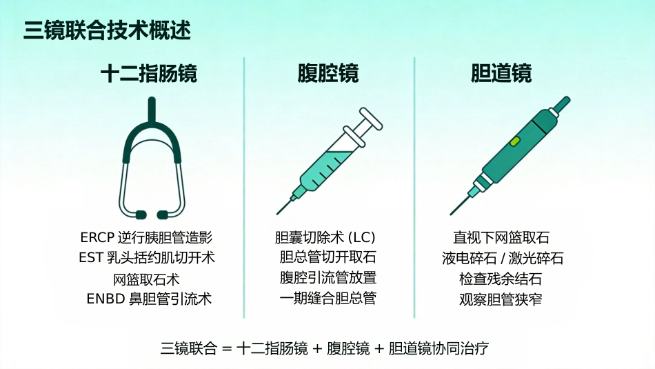 肝胆管结石的三镜联合治疗_第4页