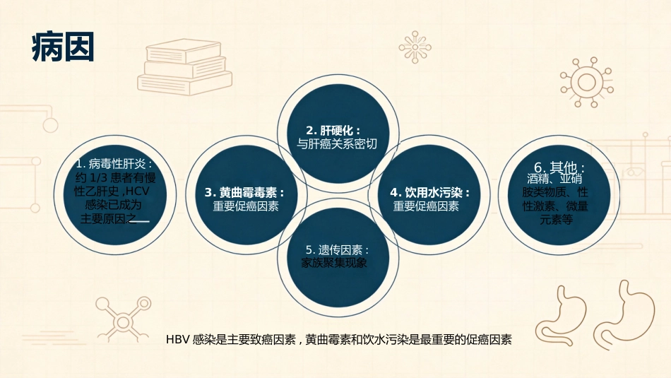 肝癌治疗及护理_第10页