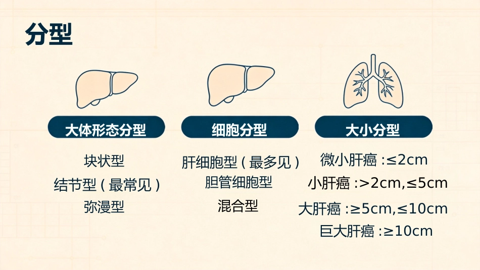肝癌治疗及护理_第11页