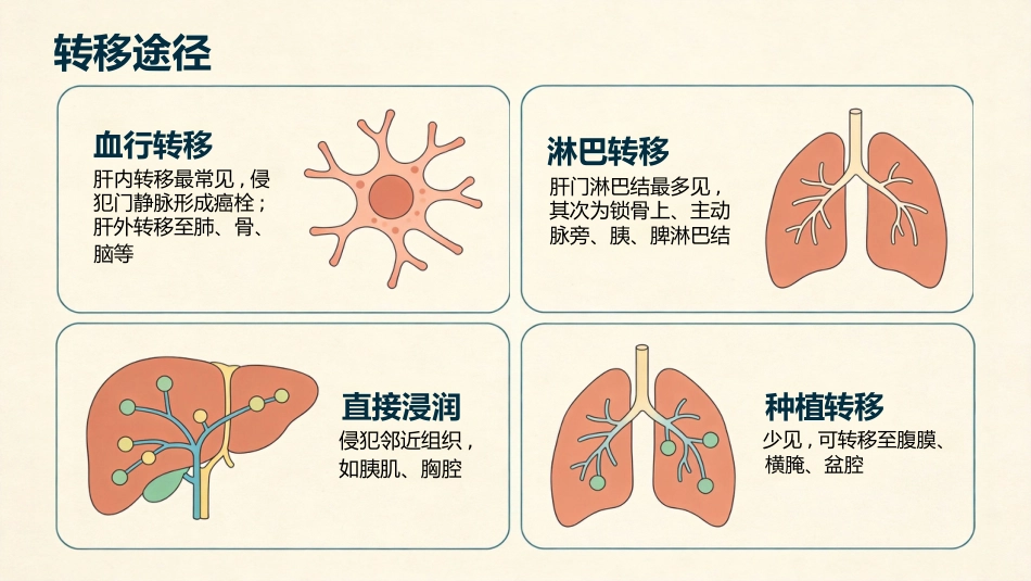 肝癌治疗及护理_第13页