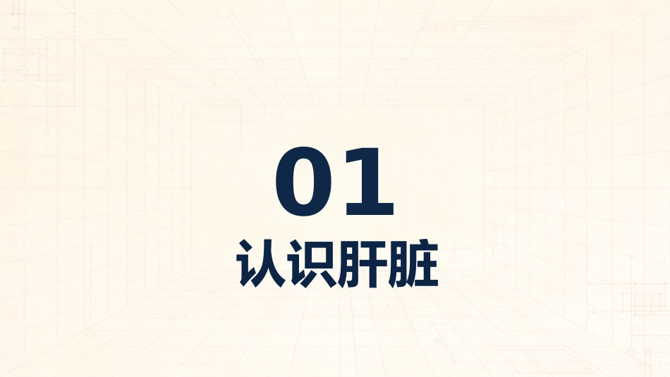 肝癌治疗及护理_第3页