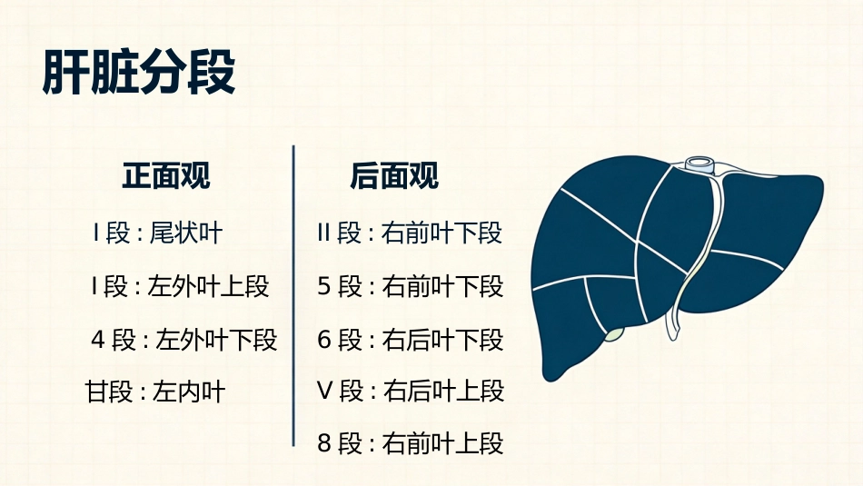 肝癌治疗及护理_第5页