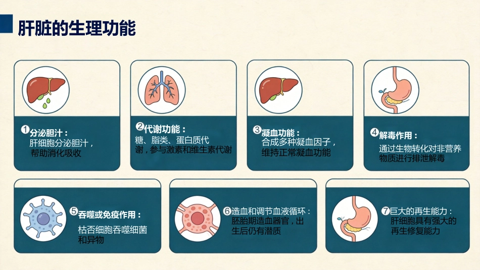 肝癌治疗及护理_第6页