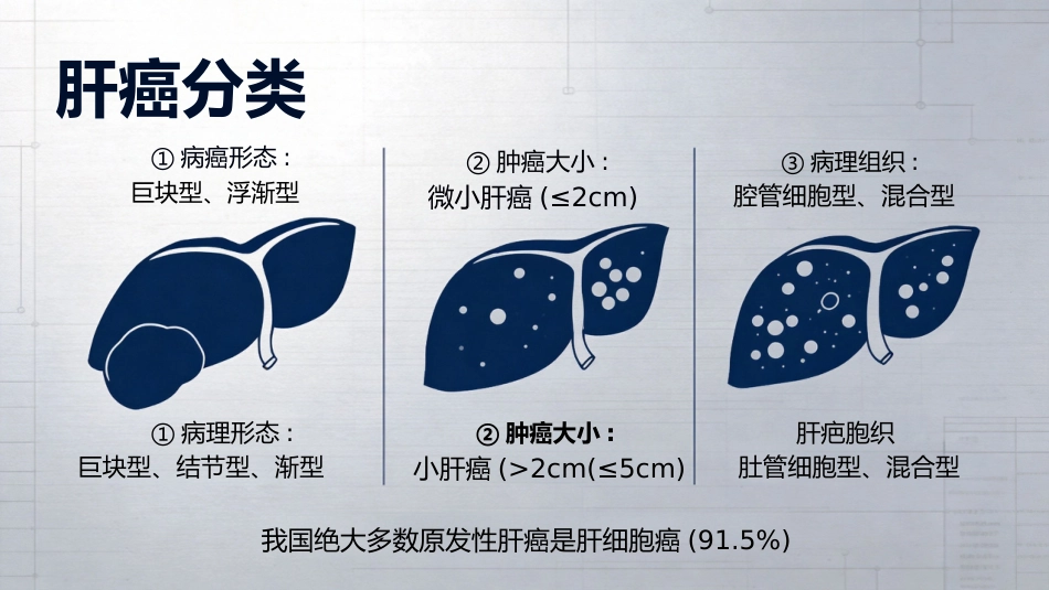 肝癌诊断与治疗_第10页