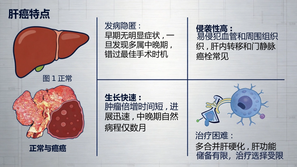 肝癌诊断与治疗_第11页