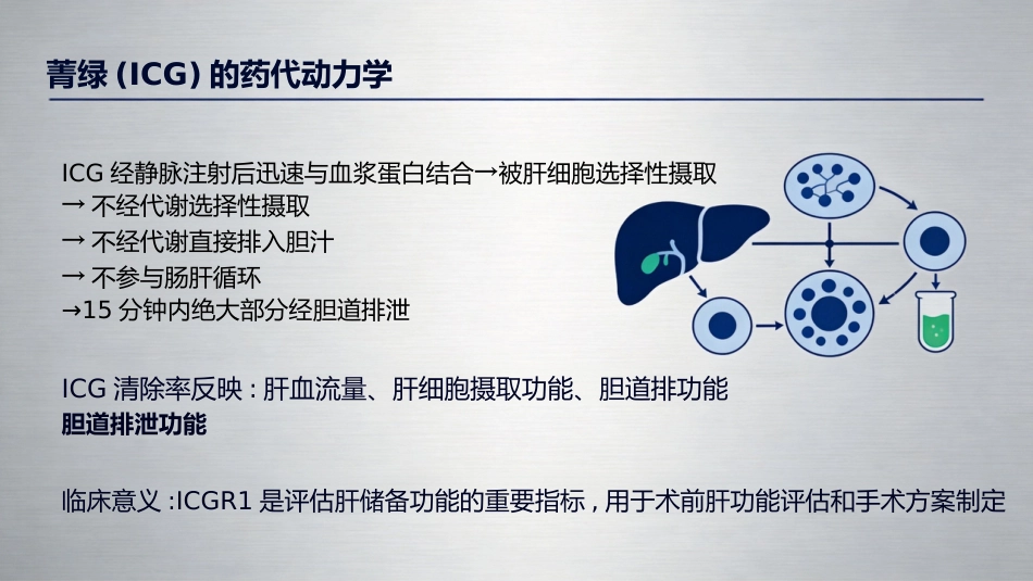 肝癌诊断与治疗_第15页