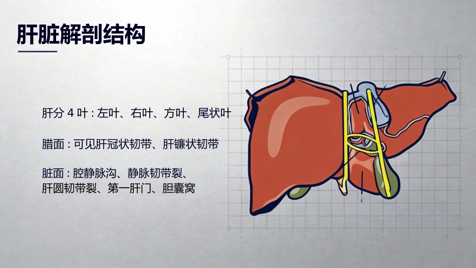 肝癌诊断与治疗_第4页