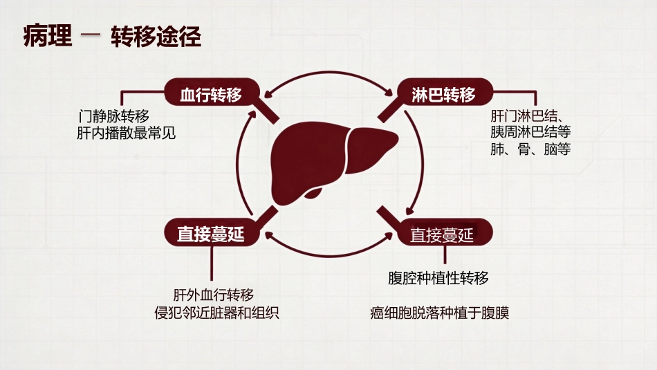 肝癌原发性肝癌_第10页