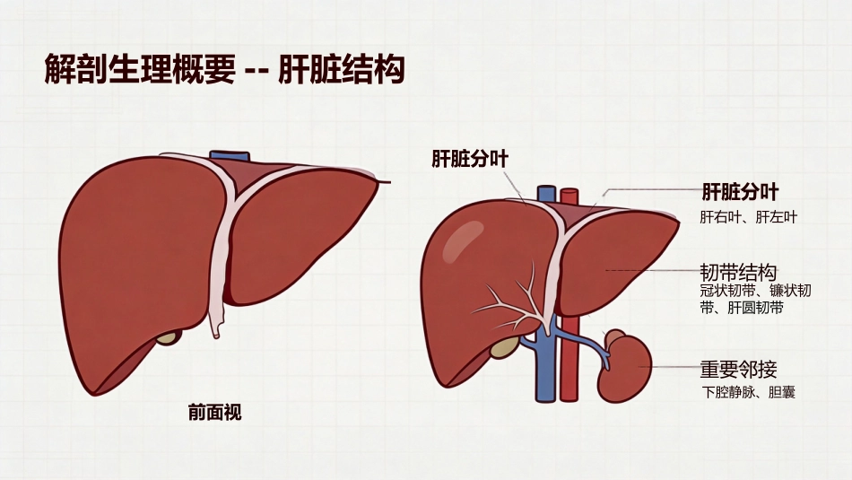 肝癌原发性肝癌_第2页