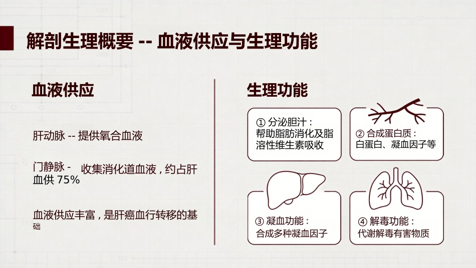 肝癌原发性肝癌_第3页