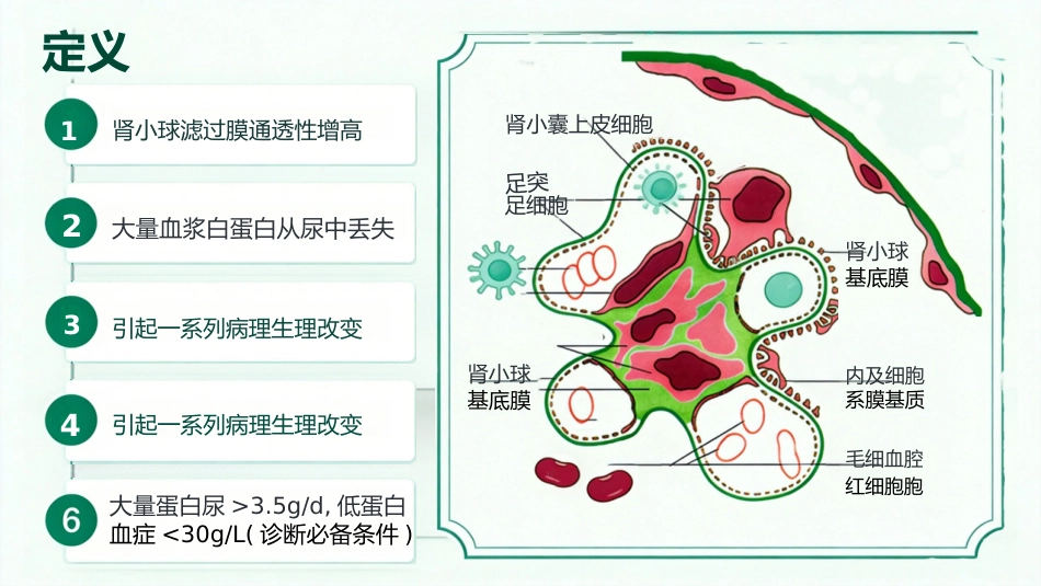 儿童肾病综合征_第2页