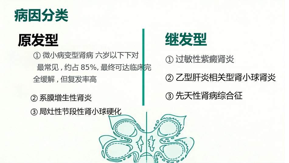 儿童肾病综合征_第3页
