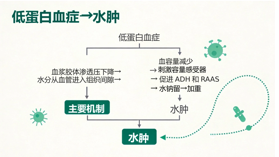 儿童肾病综合征_第8页