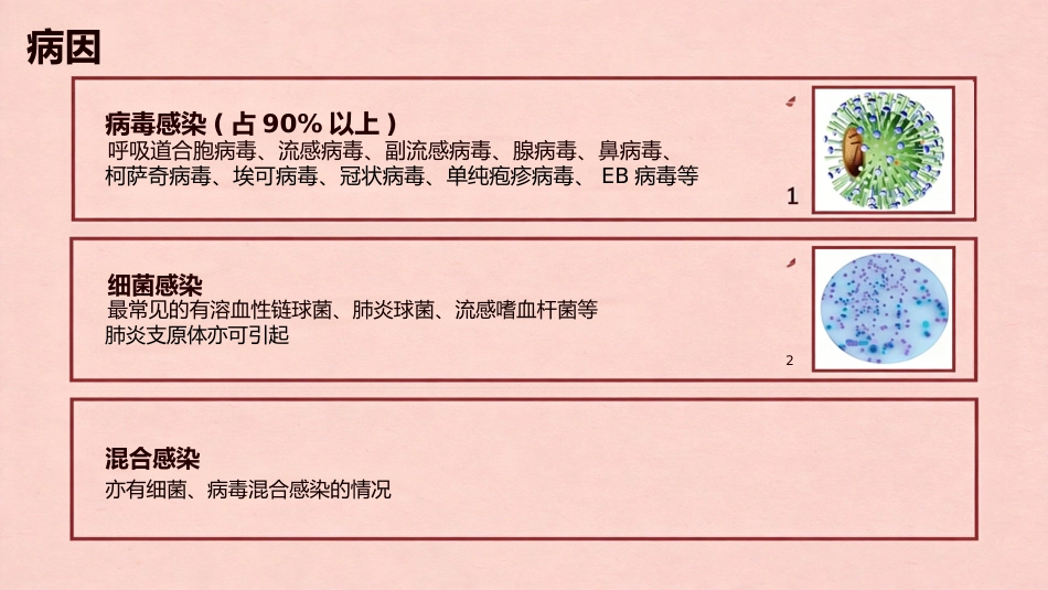 急性上呼吸道感染_第3页