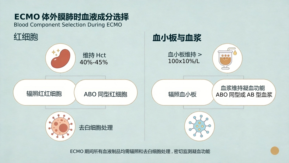 儿科精准输血_第10页