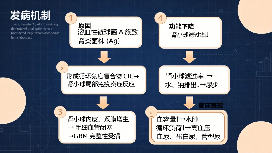 儿科急性肾小球肾炎_第5页