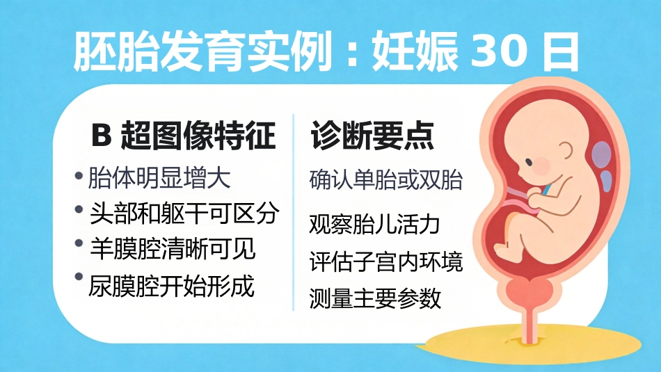 B超博瑞奶牛妊娠诊断_第10页