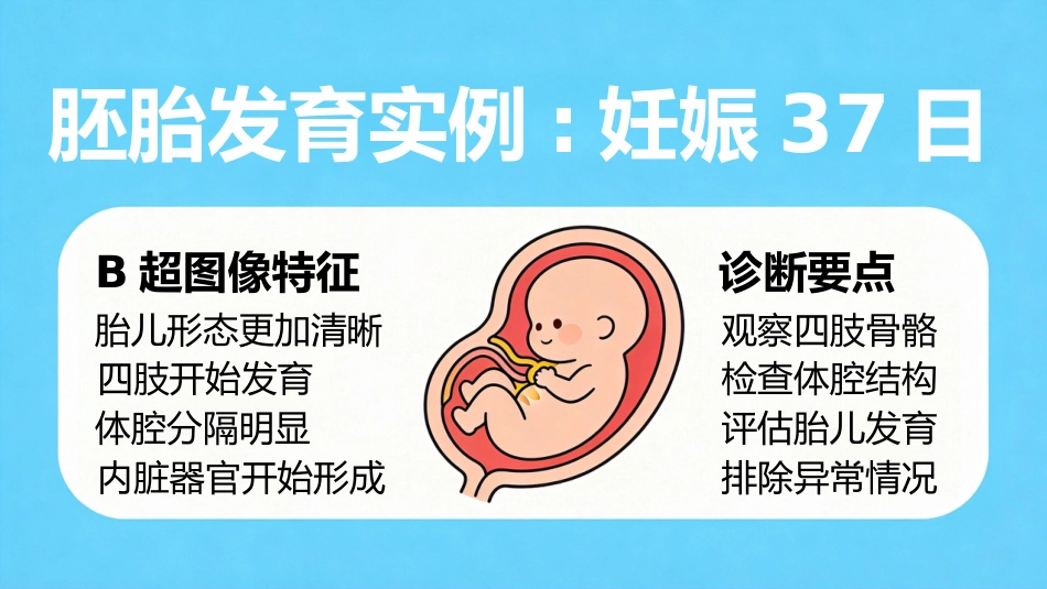B超博瑞奶牛妊娠诊断_第11页