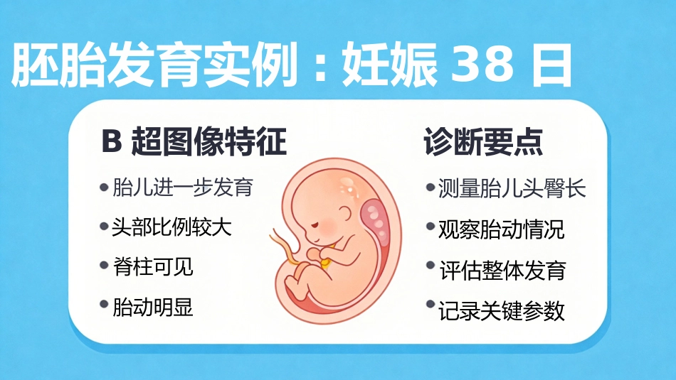 B超博瑞奶牛妊娠诊断_第12页