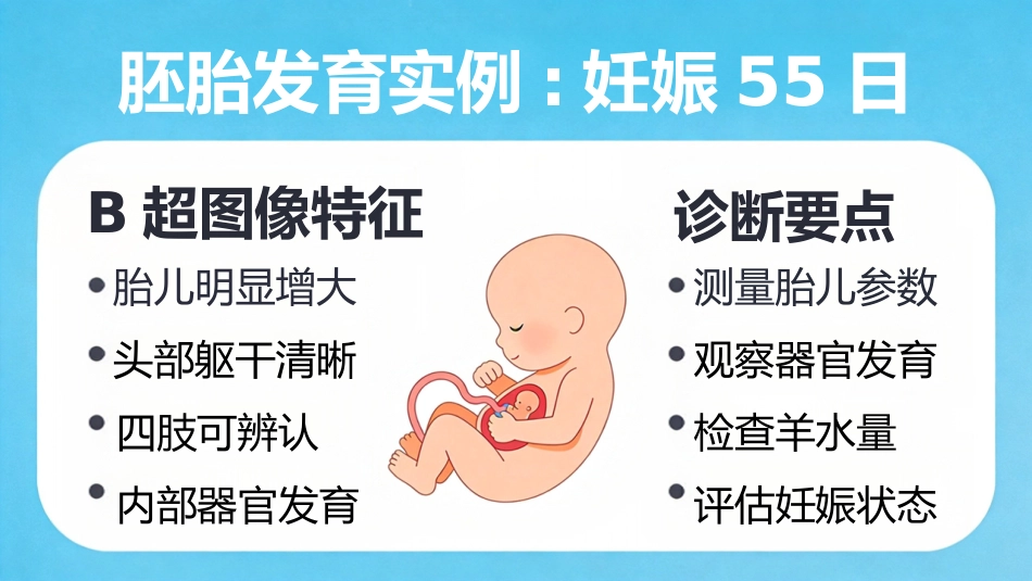 B超博瑞奶牛妊娠诊断_第15页