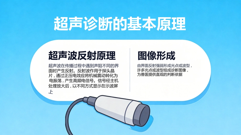 B超博瑞奶牛妊娠诊断_第6页
