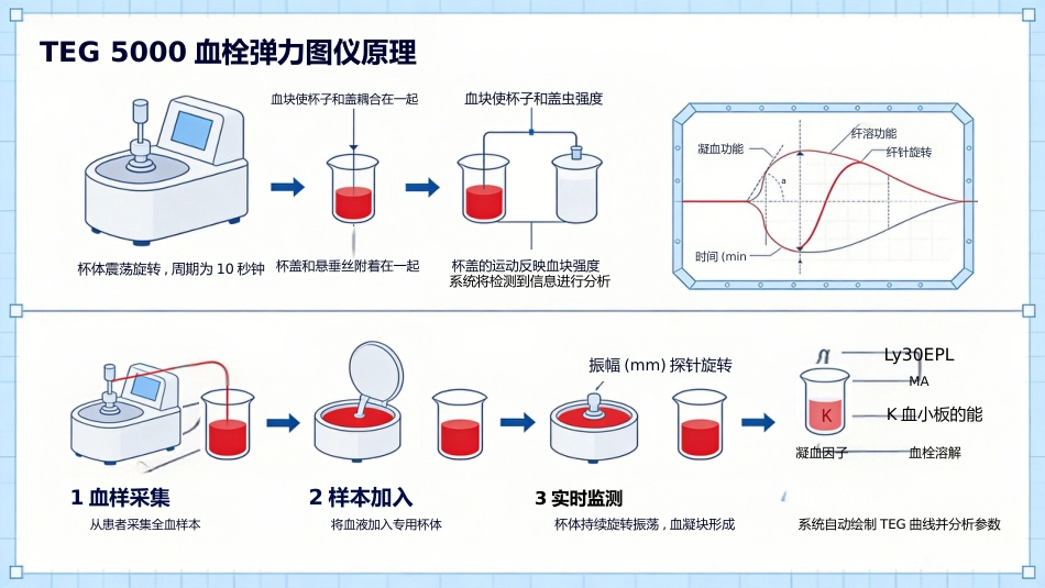 TEG妇产科_第5页