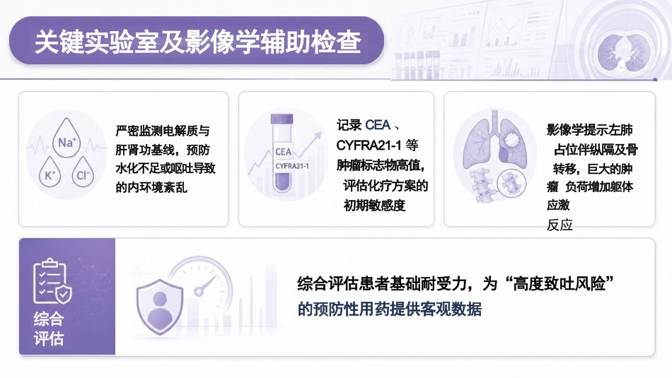 一例肺癌化疗患者恶心恶吐的个性化症状管理方案_第12页
