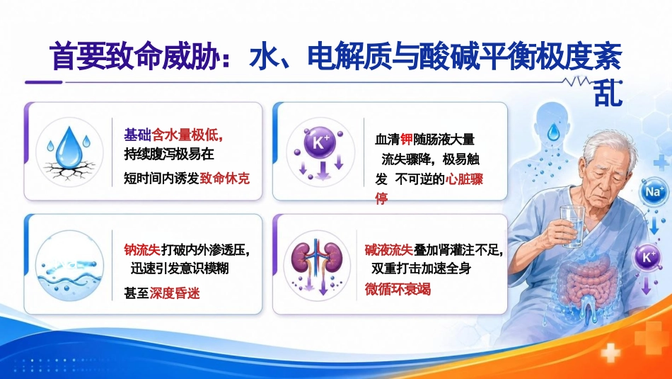 老年人腹泻的“防”与“护”PPT_第11页