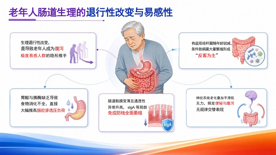 老年人腹泻的“防”与“护”PPT_第5页