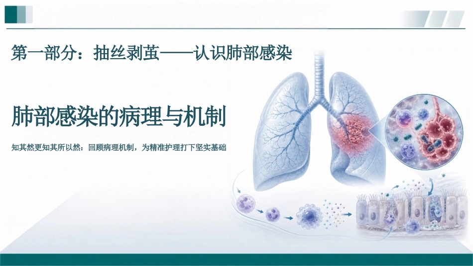 肺部感染性疾病患者护理查房PPT_第5页