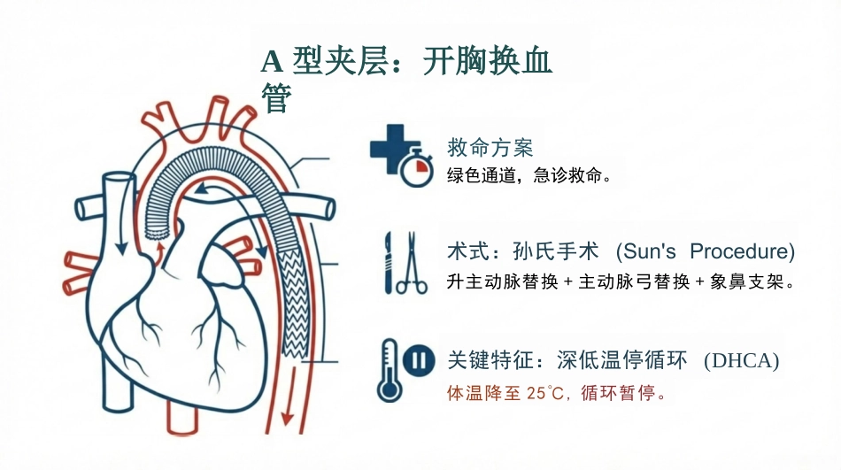 主动脉夹层急危重症护理查房_第11页