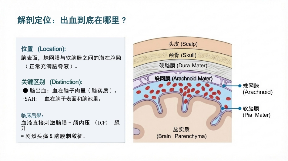 蛛网膜下腔出血护理查房_第3页