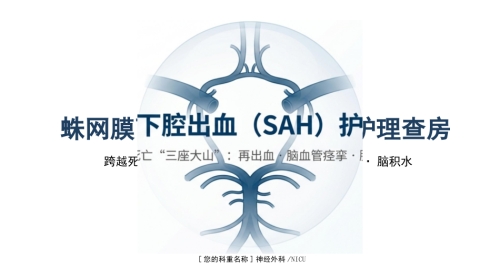 蛛网膜下腔出血护理查房