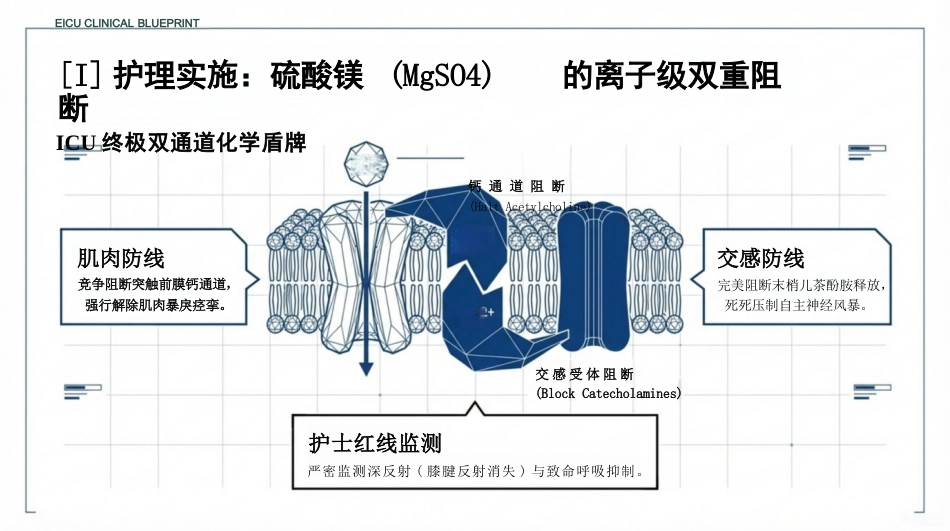 重症破伤风护理查房_第12页