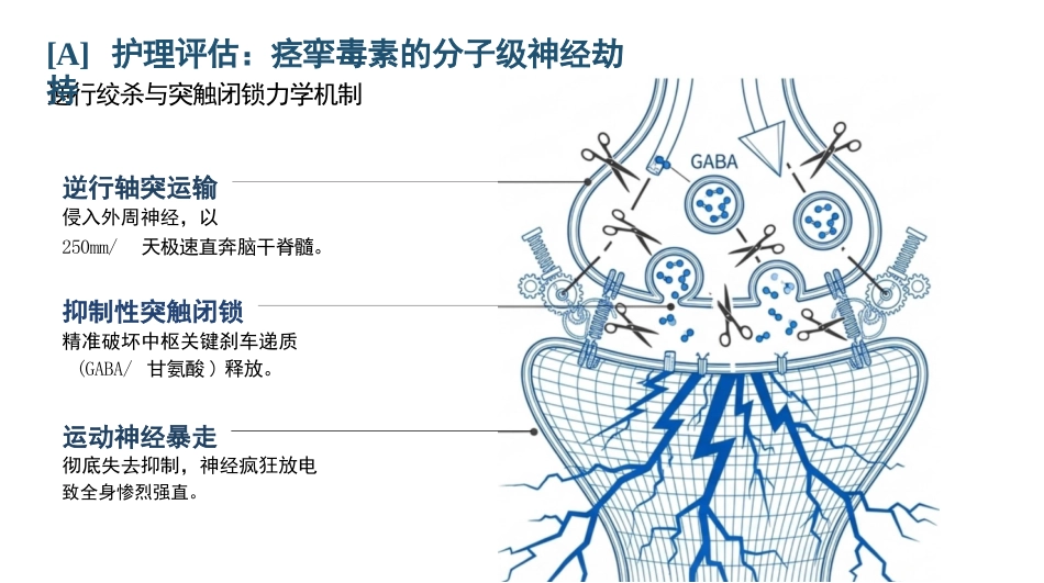 重症破伤风护理查房_第5页