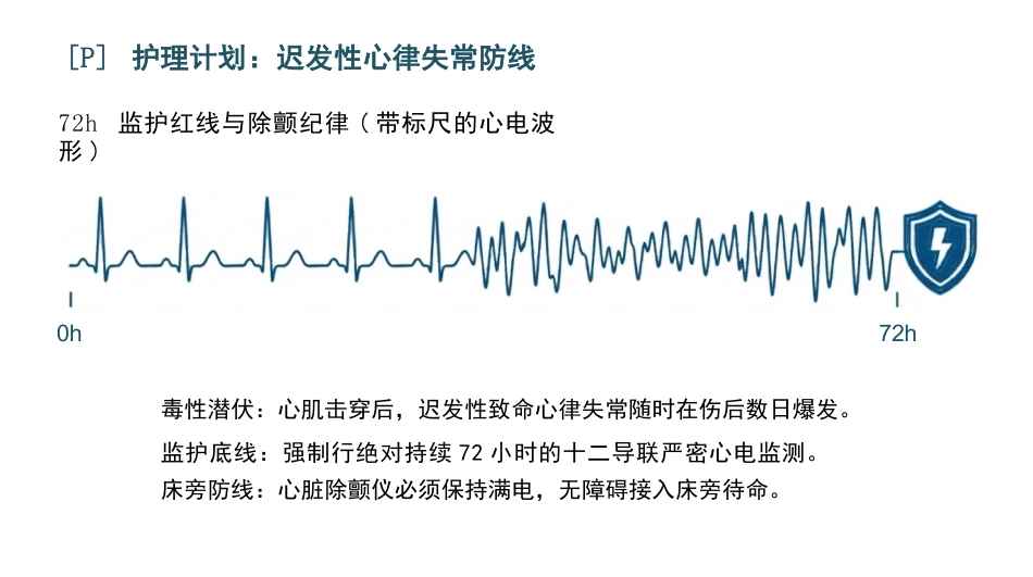 重症电击伤护理查房_第10页