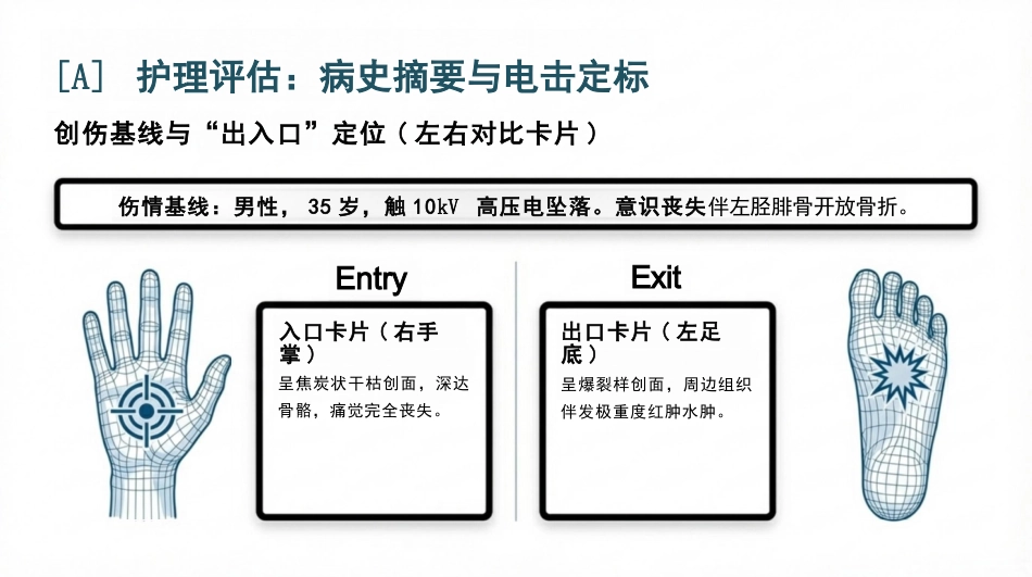 重症电击伤护理查房_第3页