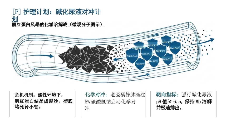 重症电击伤护理查房_第9页